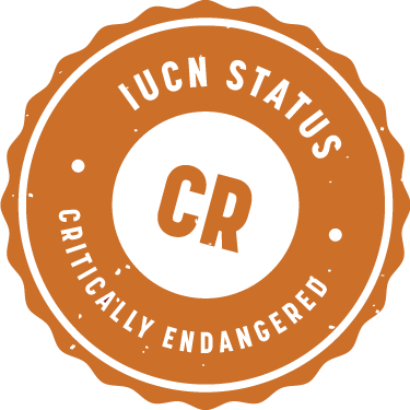 IUCN_Badge_Critically_Endangered