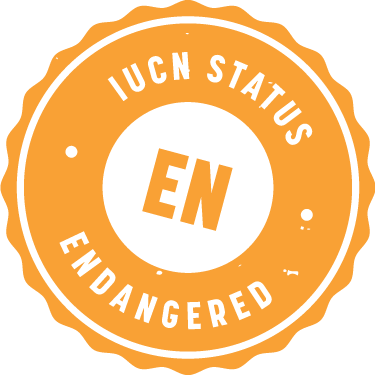 IUCN_Badge_Endangered