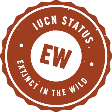 IUCN_Badge_Extinct_In_Wild