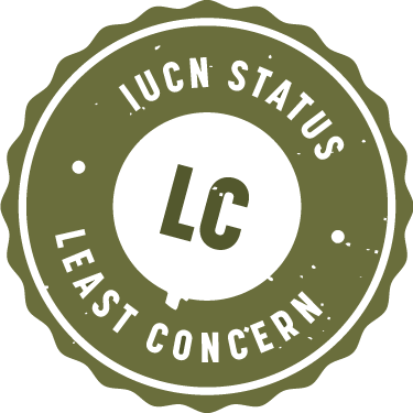 IUCN_Badge_Least_Concern