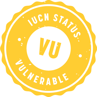 IUCN_Badge_Vulnerable