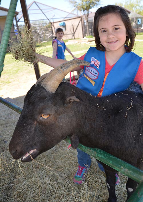 RS48883_scout-with-goat