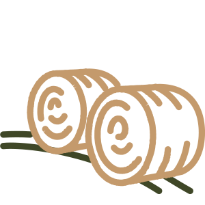 conssmicon-natresourcesmgmt