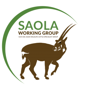 Saola-C1-300x300