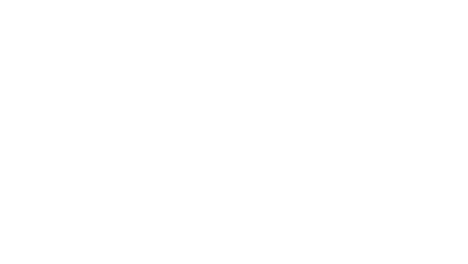 cheetah_icon_white