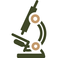 disease icon