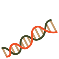 genetic icon