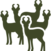 population icon