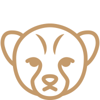 reproduction icon