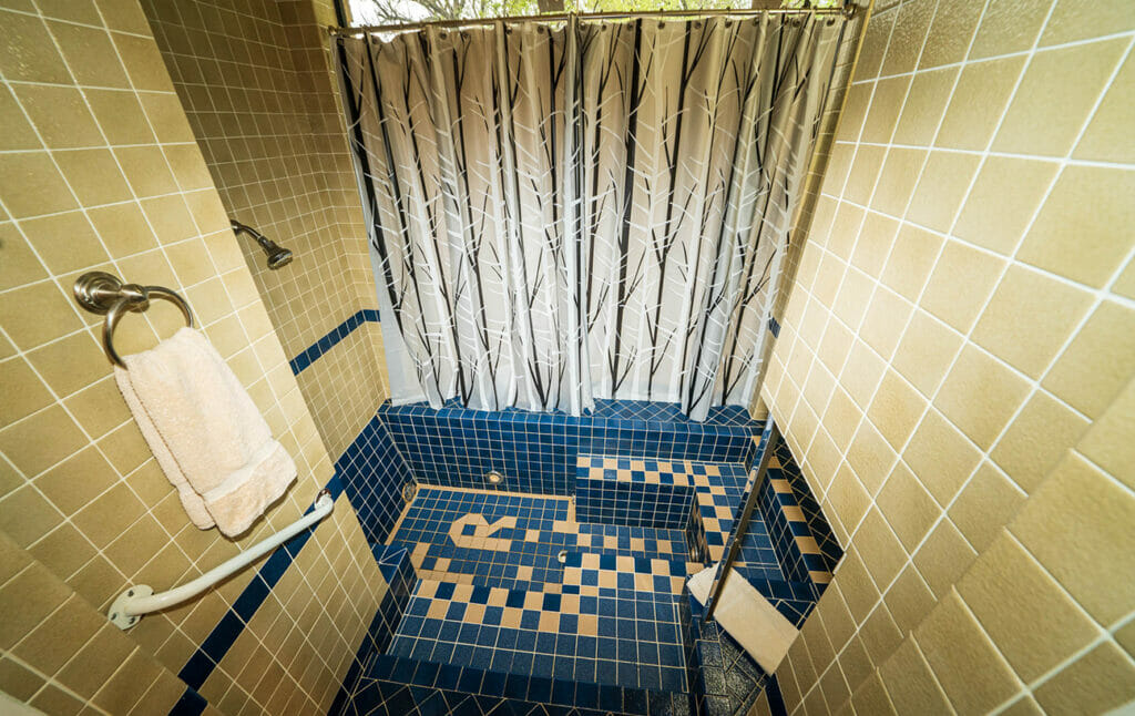 parrot-bathroom