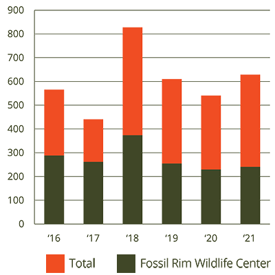 APC Graph 2021