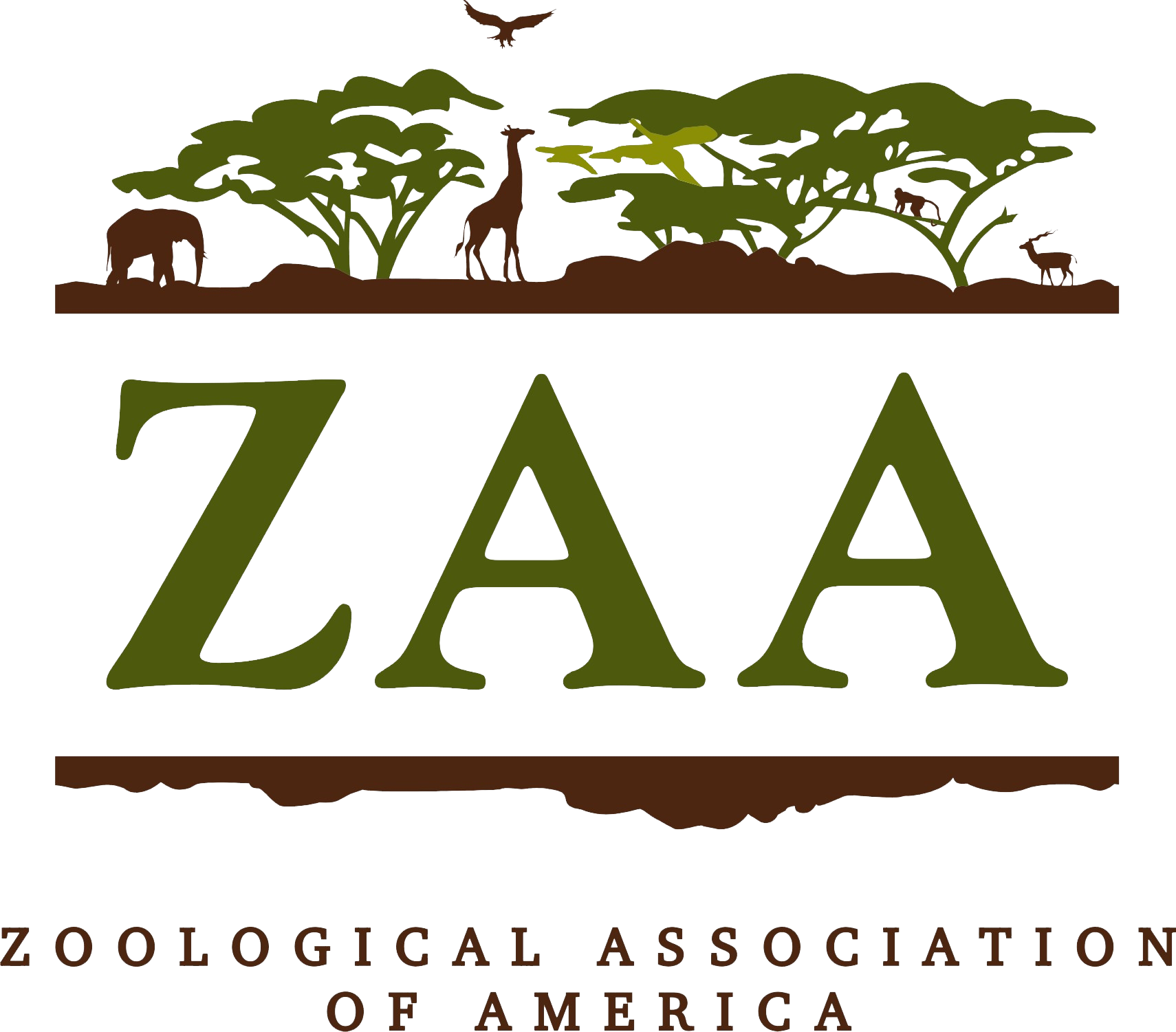 RS22423_ZAA Color Logo