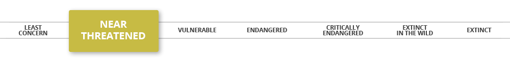 iucn-near-threatened