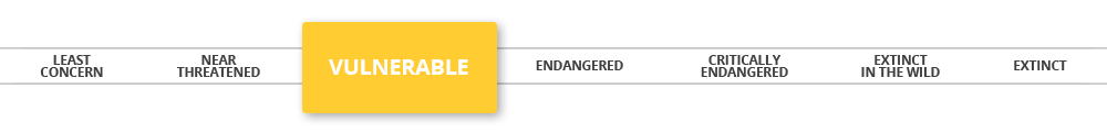 iucn-vulnerable