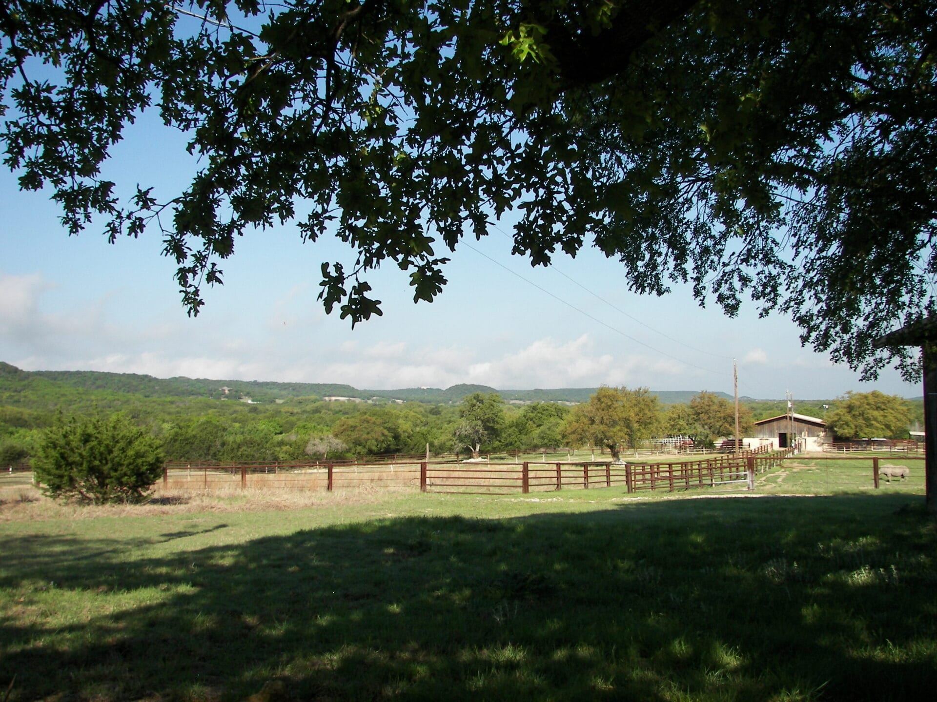 Intensive Management Area - Fossil Rim Wildlife Center
