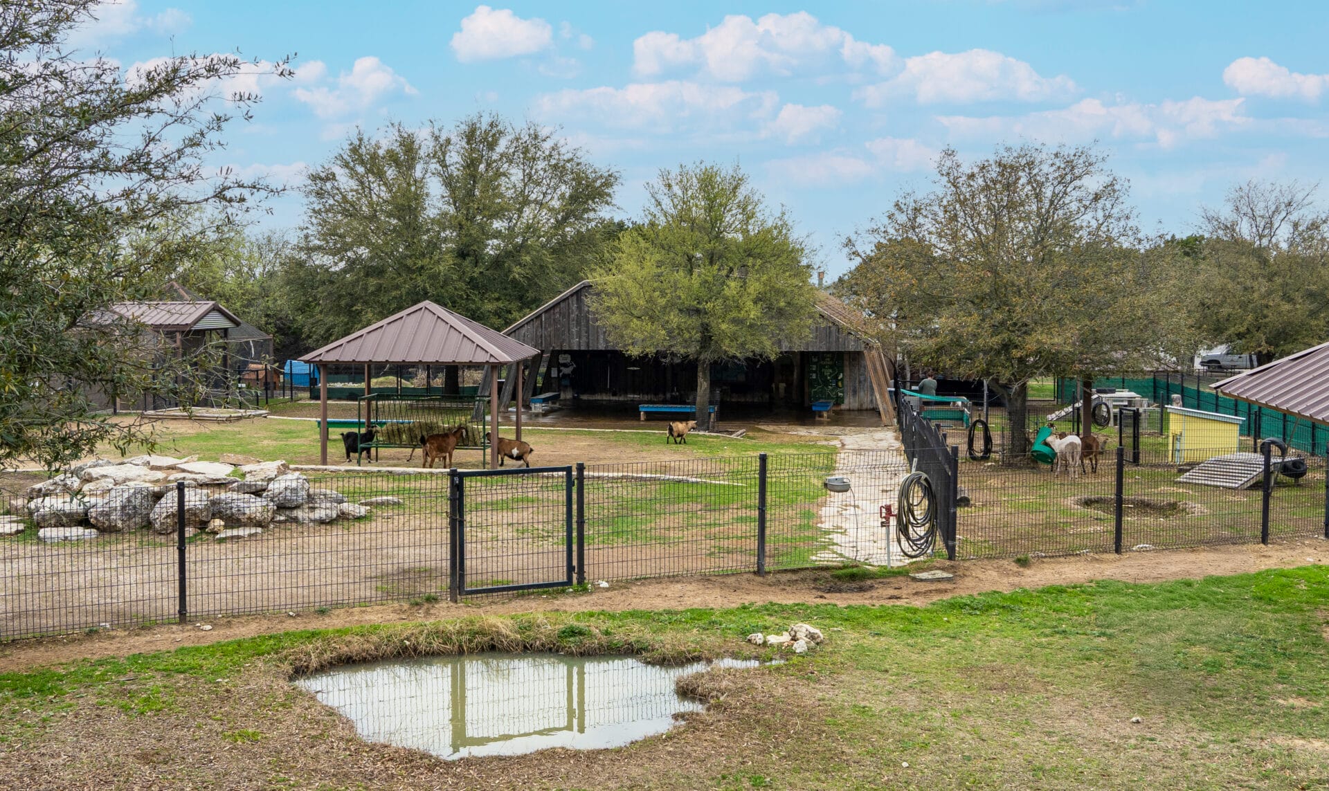 Animal Discoveries - Fossil Rim Wildlife Center