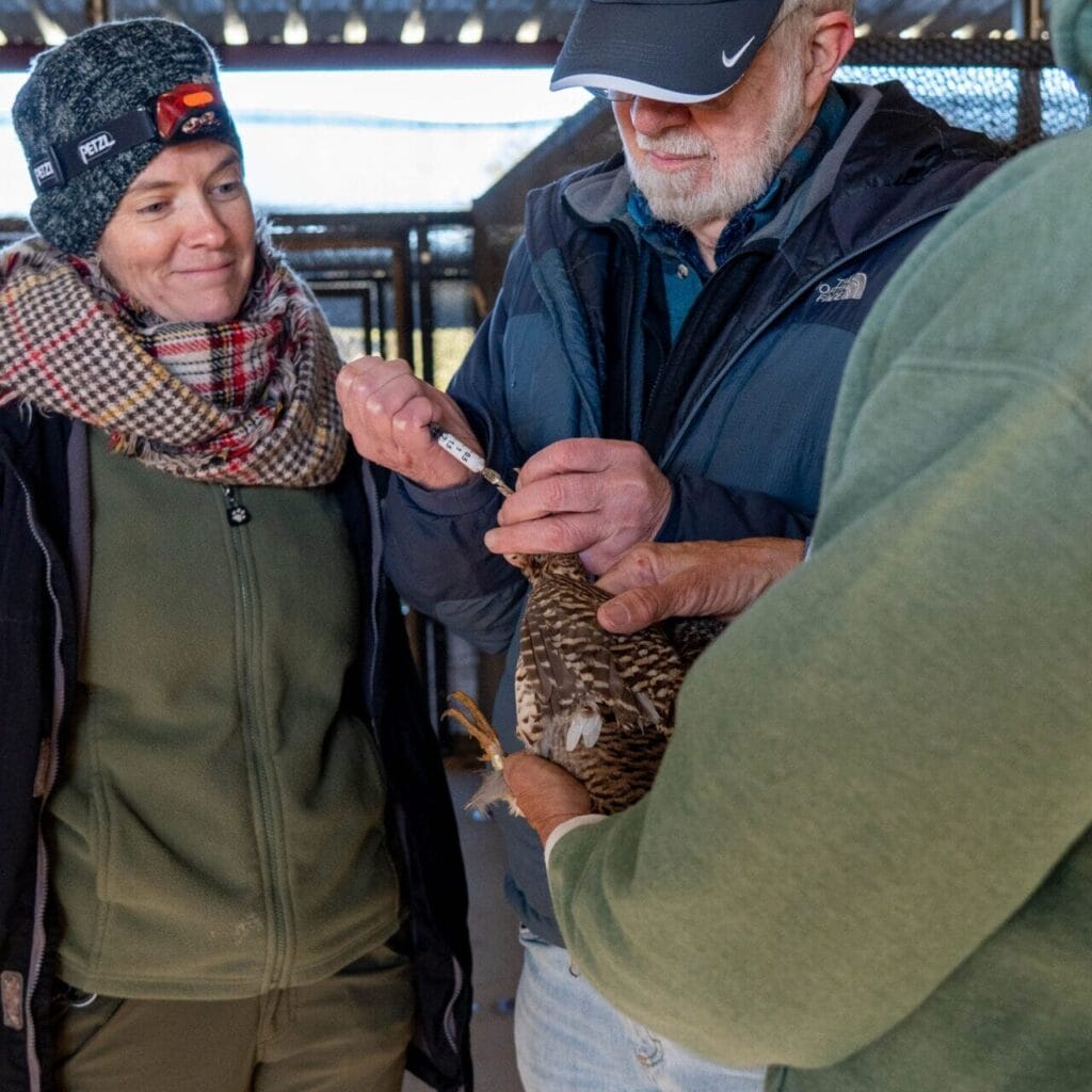 Dr. Julie Swenson Steps Into National Role - Fossil Rim Wildlife Center