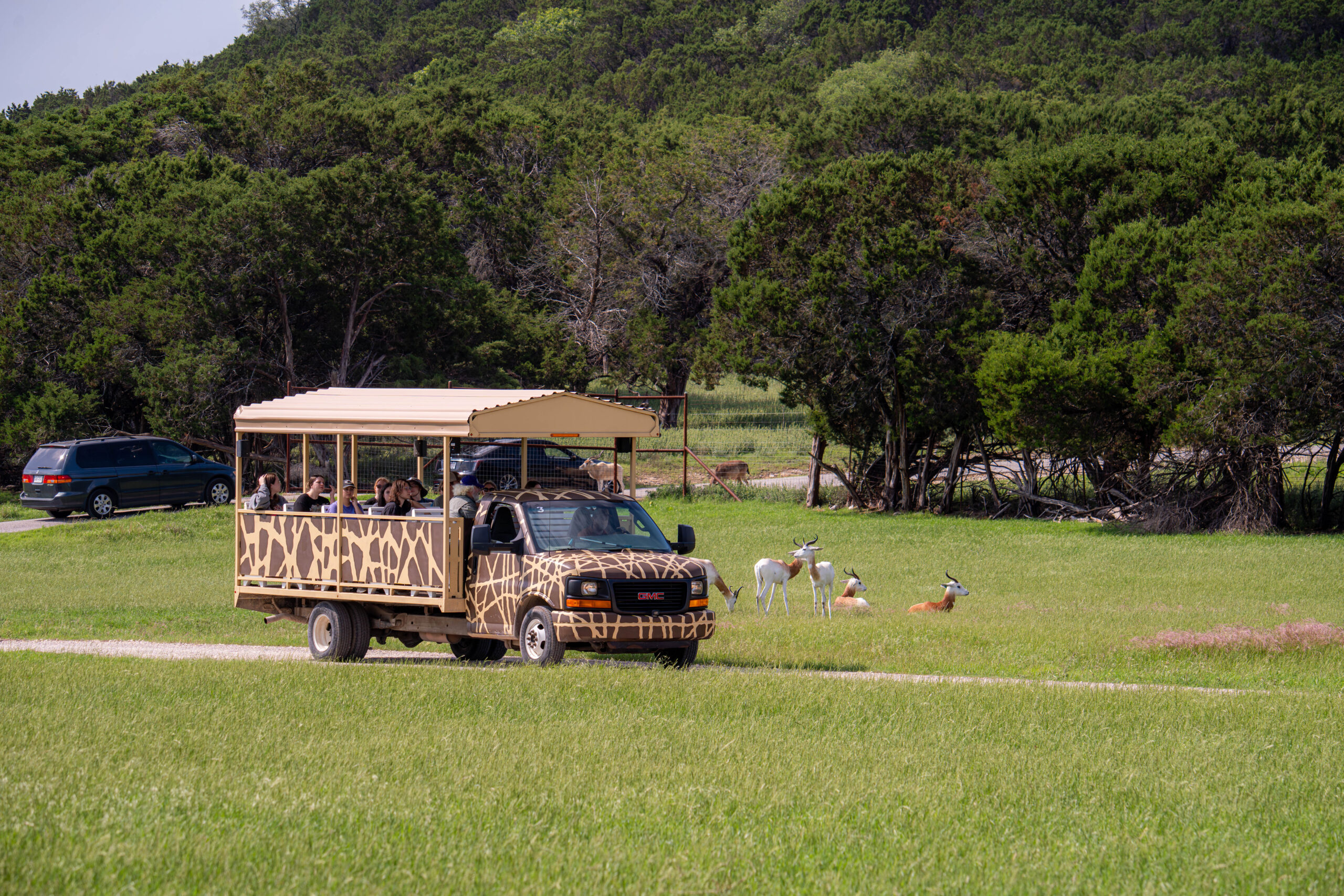 Fossil Rim/Tarleton Field Camp is A Success - Fossil Rim Wildlife Center